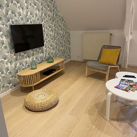 فيلا Family Loft A 5Minutes Du Zooparc De Beauval Châteauvieux المظهر الخارجي الصورة